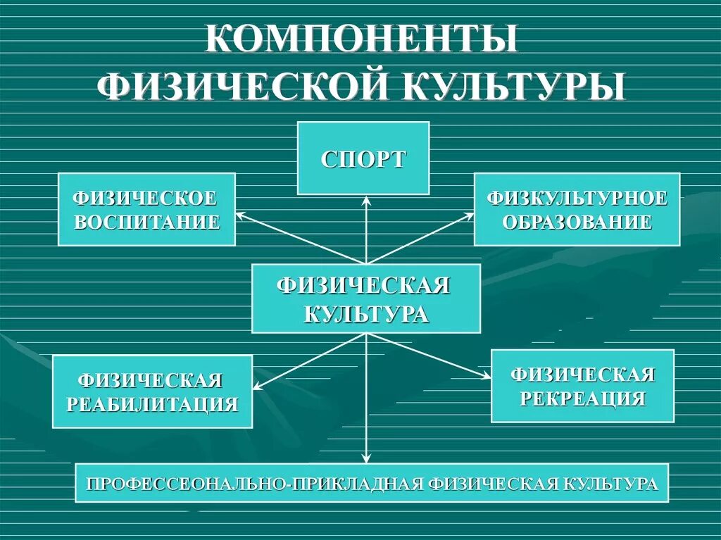 Компоненты физической культуры. Основные компоненты физической культуры. Структурные элементы физической культуры. К компонентам физической культуры не относится:. Элементы социального образования