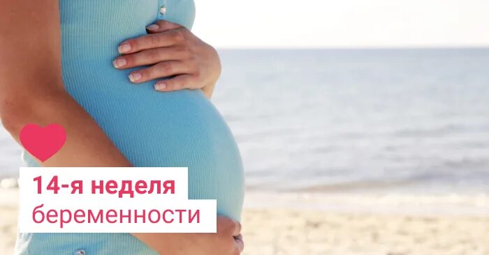 Новосибирск 14 недели. 14 Недельная беременность. Самочувствие на 14 неделе беременности. Угроза выкидыша на 14 неделе.