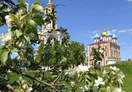 Май рязань