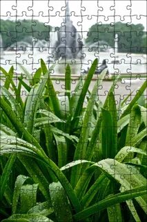 The plant wet