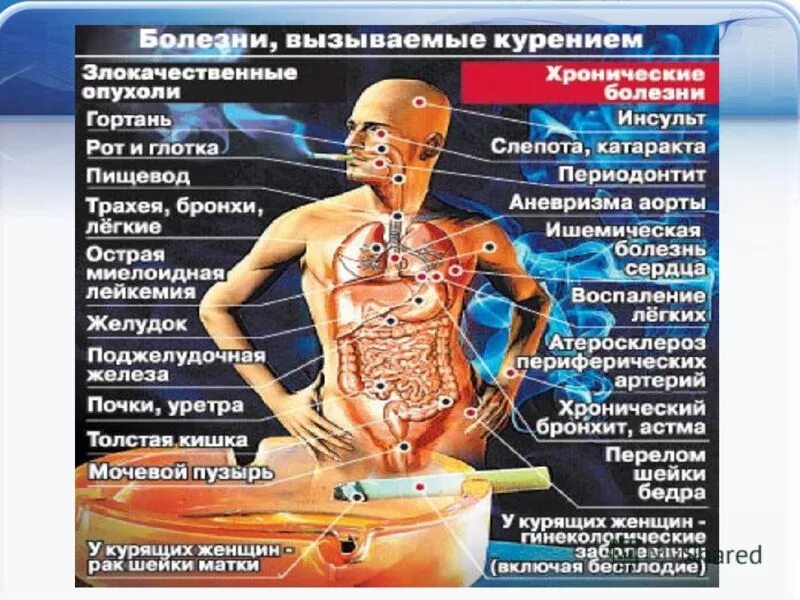 Курение во время поста. Болезни вызываемые курением в картинках. Болезни вызванные курением. Внутренние органы курящего человека.