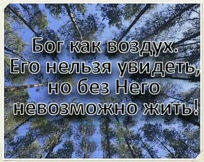 Нельзя прожить жизнь