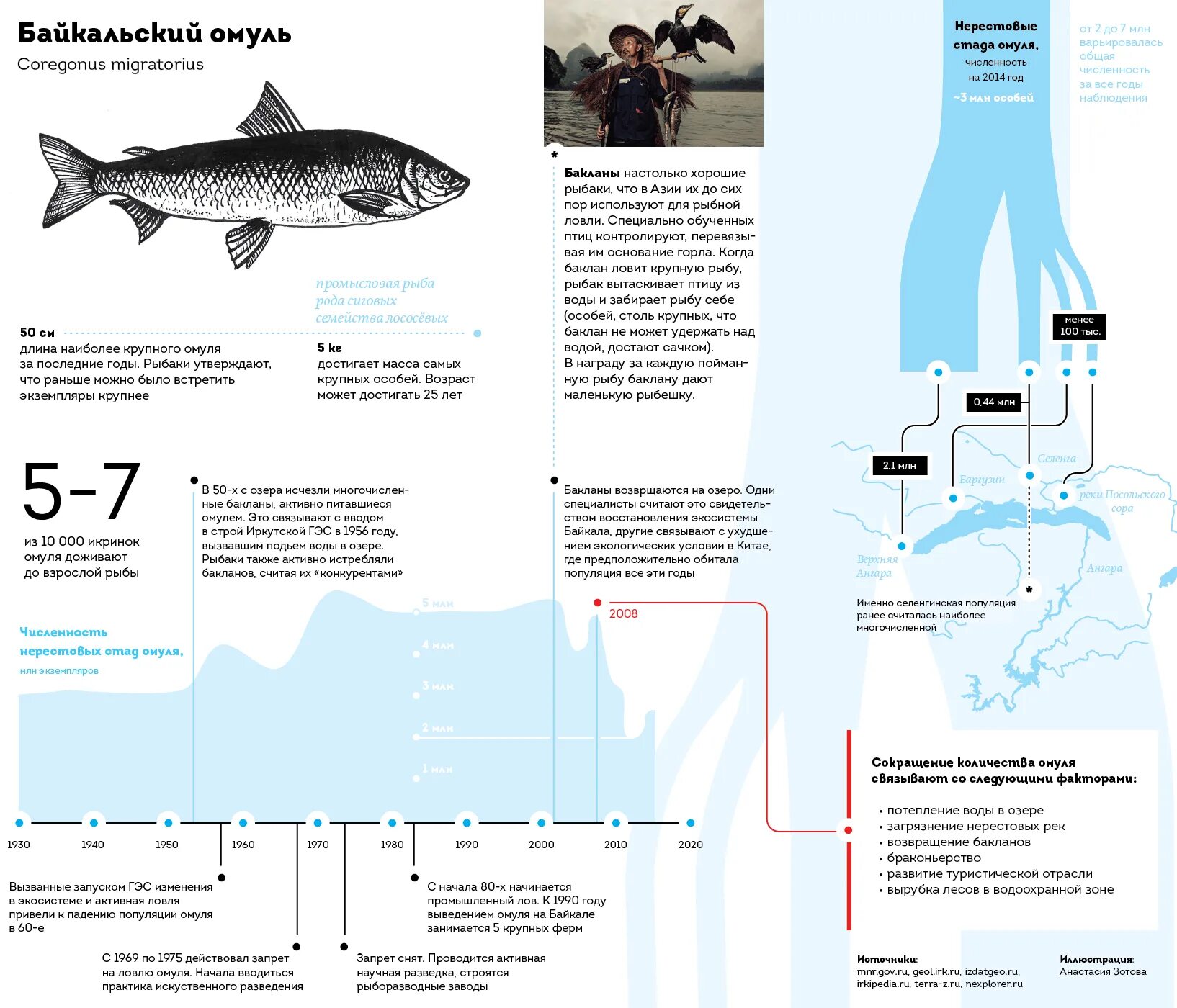 Почему численность промысловых рыб. Ловля рыбы инфографика. Инфографика виды рыбы. Численность рыб. Глубина и рыбы инфографика.