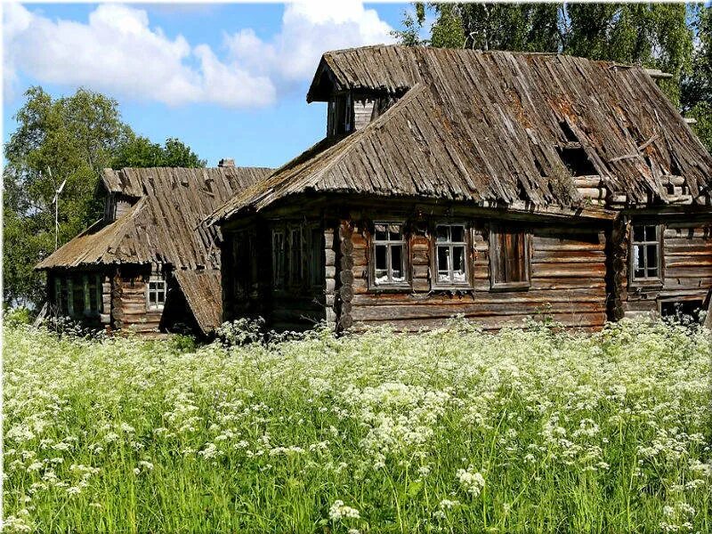 Где раньше были деревни. Заброшенные деревни шарканского района. шарканский район заброшенные деревнин. деревня тигощи псковской области. заброшенные деревни белоруссии.