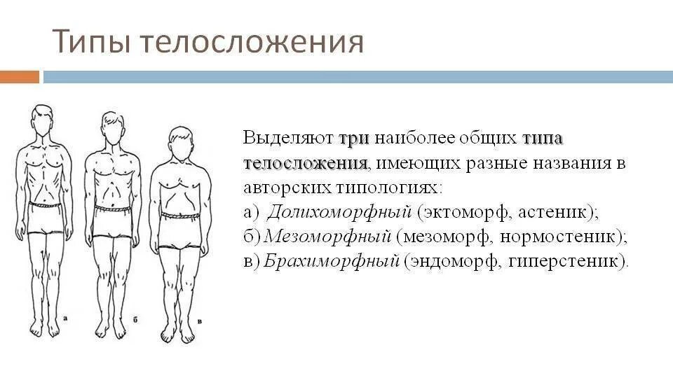 Как определяют конституцию человека. Конституция человека нормостеник. Типы Конституции тела человека нормостеник. Перечислите конституциональные типы телосложения. Типы строения тела человека анатомия.