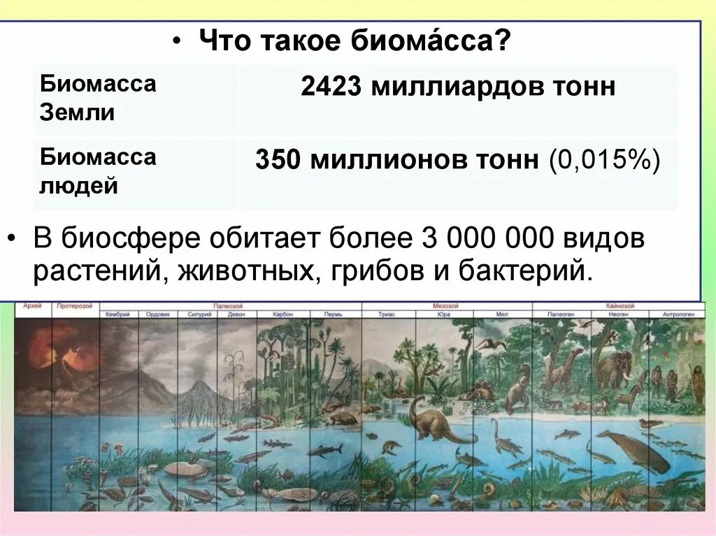 Количество живых организмов на земле. Биомасса живых организмов. Общая биомасса живого вещества на земле. Биомасса земли. Распределение биомассы в биосфере.