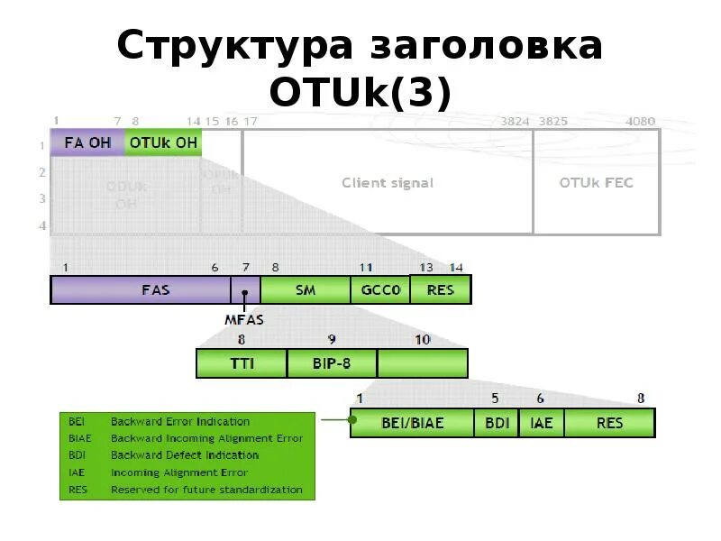 Структура заголовка. Структура заголовка