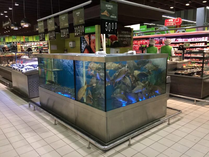 Торговые аквариумы для живой рыбы. Аквариумные рыбки в пакете. Где продается живой. Магазин аквариумов. Аквариум с рыбками зоомагазин.