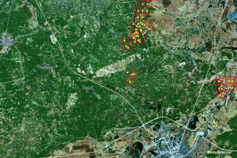 Курганская область со спутника в реальном времени. Карта лесных пожаров курганской области. карта пожаров в курганской обл. карта возгораний в курганской области. карта пожаров курганской области со спутника.