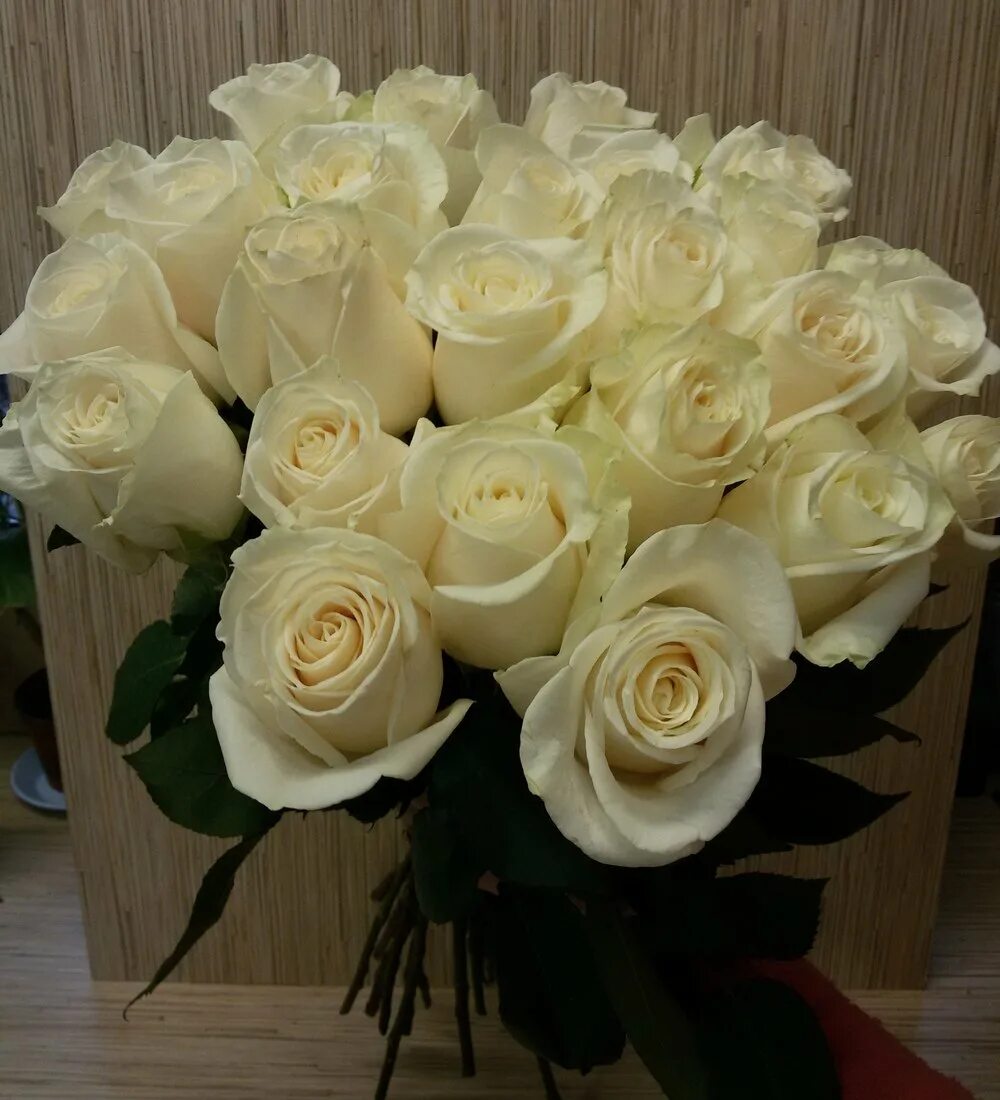 Фото цветов на столе реальные. Букет "25 белых роз" Аваланж. 25 Белых роз Аваланш. Шикарный букет белых роз. Огромный букет белых роз.
