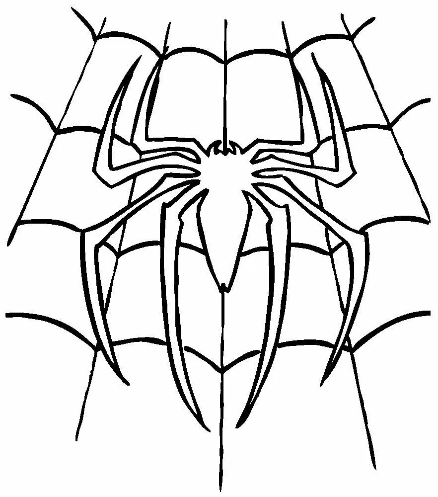 Разукрашивать пауки. Паук раскраска. Раскраски пауков. Паук раскраска для детей. Паучок раскраска для детей.