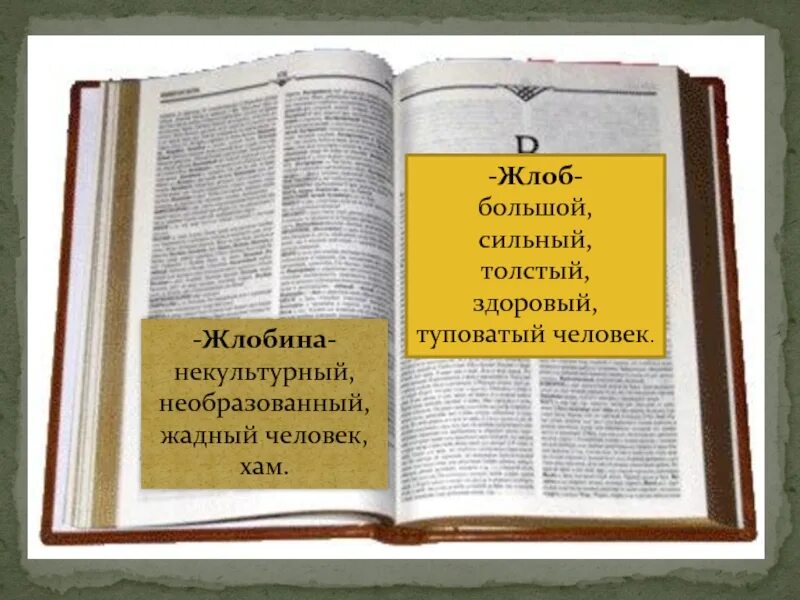 Кто такой жлоб. Жлоб это кто простыми словами. Что значит слово жлоб. Понятие слова жлоб. Толстенный жлоб.