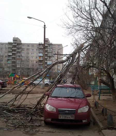 Почему нет света в астрахани. Шторм в Астрахани сегодня. Повалило столбы электричества в Астрахани. Астрахань без света. Шквалистый ветер в Рубцовской области.