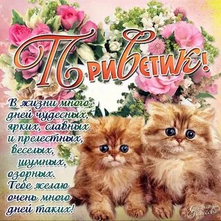 Поздравления доброго дня другу