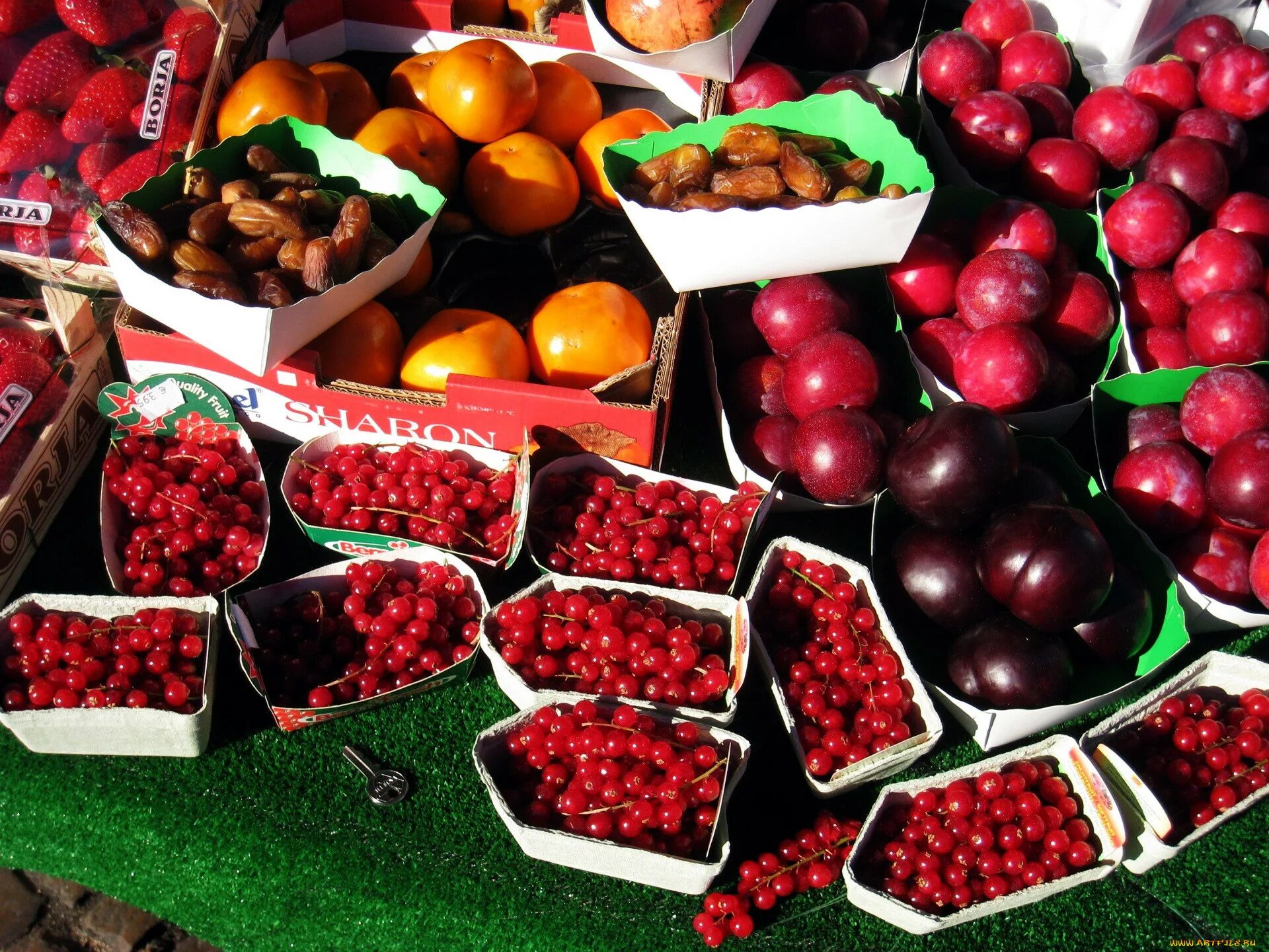 Фрукты. Фрукты ягоды рынок. Ягоды на рынке. Культивирование фрукты.
