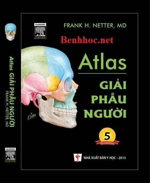 Netter&#039;s atlas