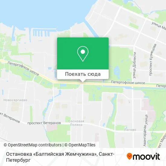 Петергофское шоссе 53. Эмблема жемчужина. Петергофское шоссе 53. Шале салон красоты петергофское. Жемчужина здоровья петергофское 53.
