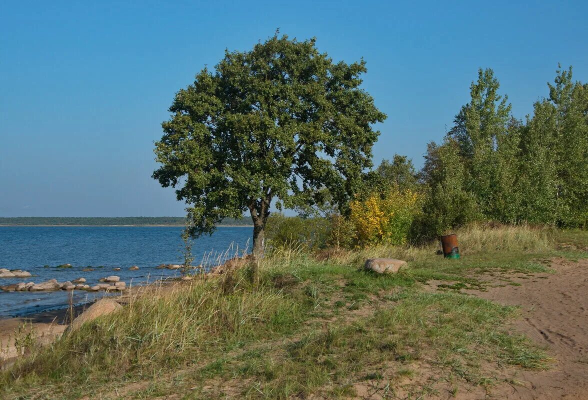 Залив чудского озера. Чудское озеро. Пийрисаар на Чудском озере. Остров Пийрисаар Чудское озеро. Чудское озеро вода.