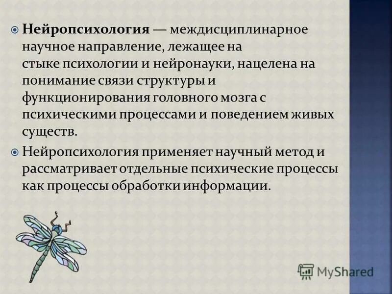 Задачи нейропсихологии. Межпредметные связи нейропсихологии. Нейропсихология междисциплинарное. Междисциплинарное научное направление