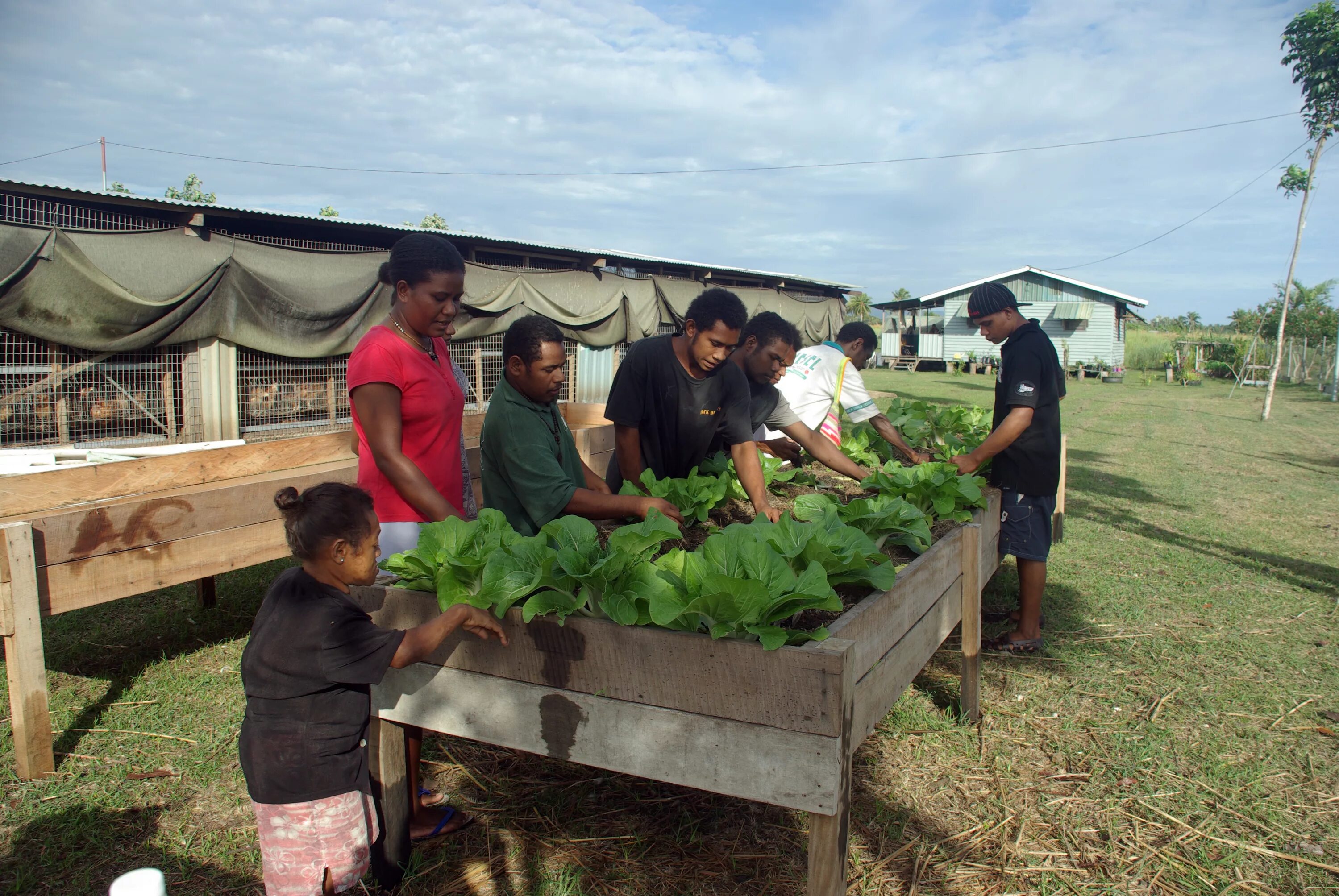 Farming wiki. Farming wiki