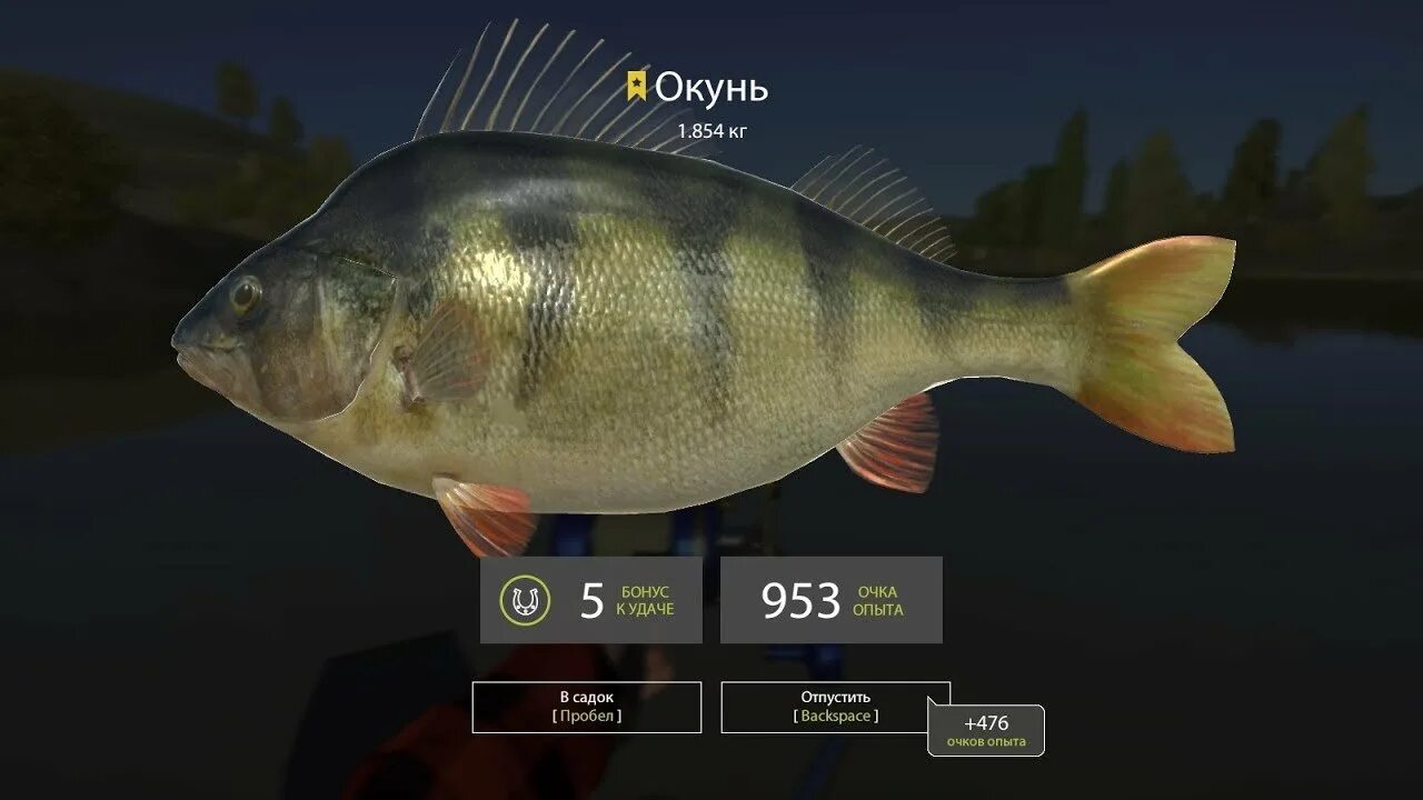 Фишинг планет. Fishing planet окунь. Fishing planet день святого патрика. Монстр окунь задира fishing planet лесни вилла как поймать. Озеро эмеральд нью йорк.