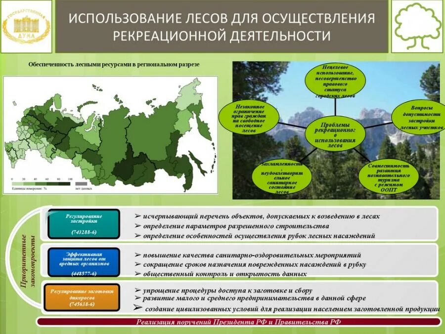 Земли рекреационного использование. Использование лесов для рекреационной деятельности. Осуществление рекреационной деятельности в лесах. Рекреационная деятельность в лесу. Рекреационные работы.