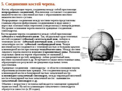 Соединение теменной кости и затылочной