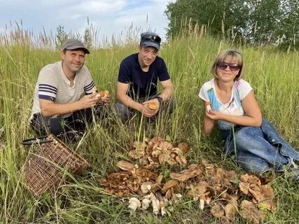 Грибники бузулука