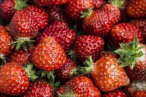 Fruit 0
