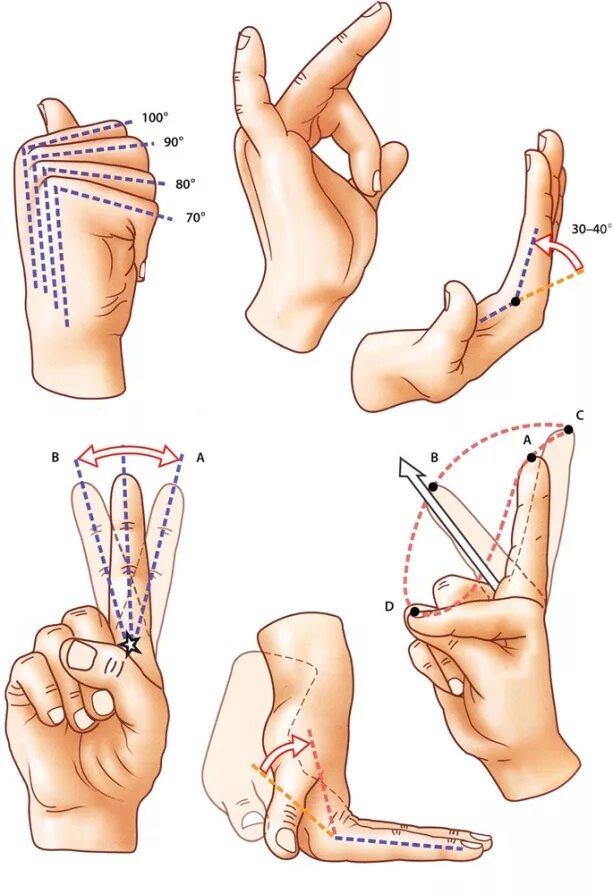 Болит большой палец на сгибе. Запястно-пястный сустав 1 пальца. Движения в пястно-фаланговом суставе объем. Движения в межфаланговых суставах кисти. Артроз пястно фаланговых суставов.