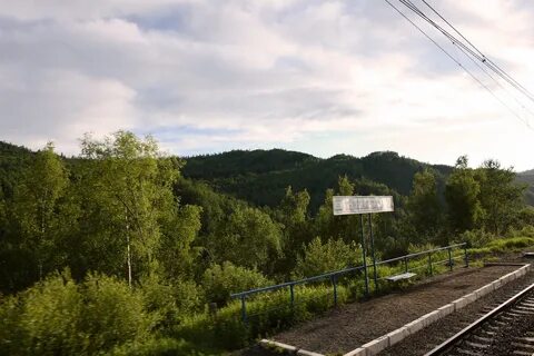 Темная падь