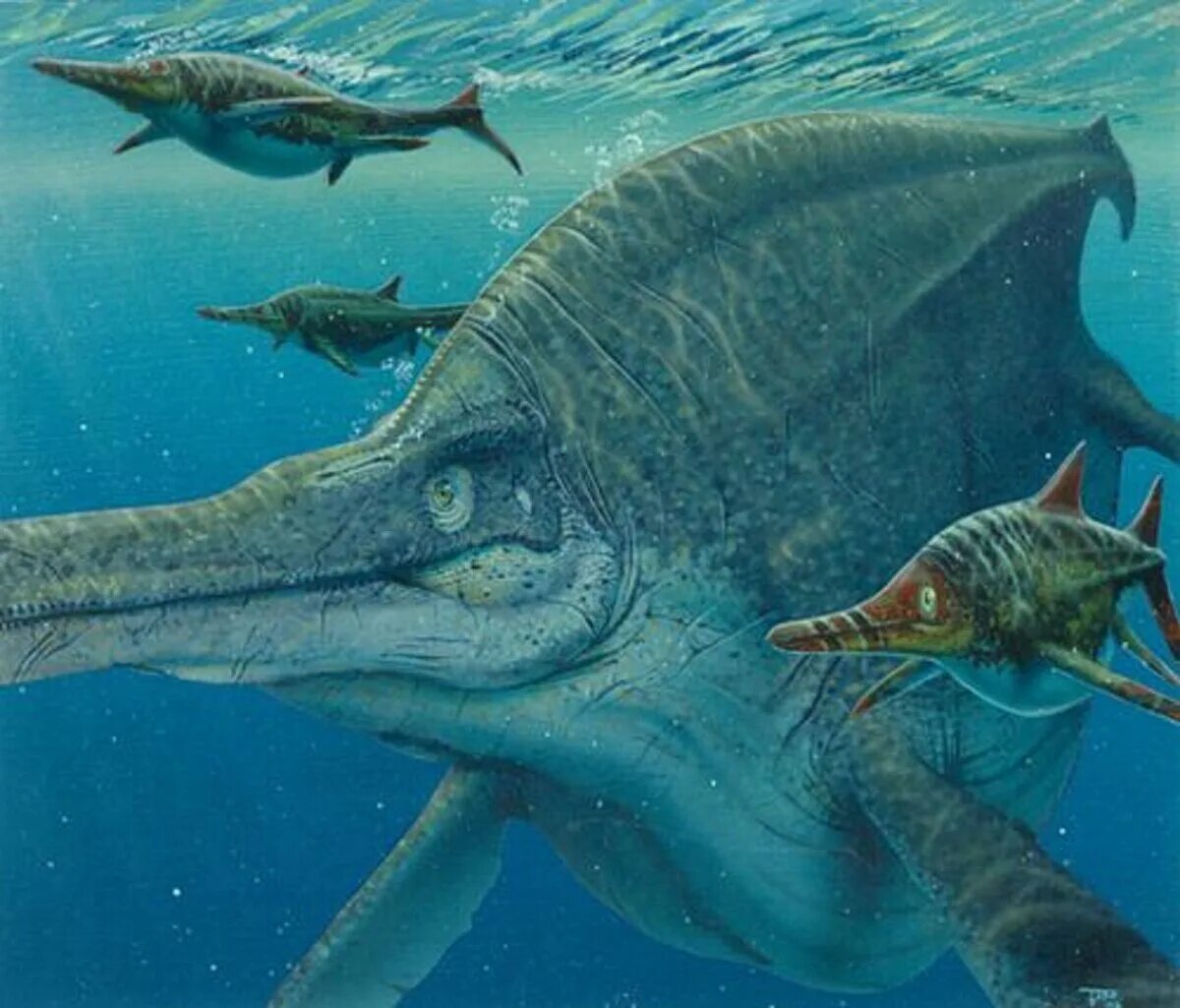 Ихтиозавр первичноводный. Ихтиозавр Шонизавр. Морские динозавры Ихтиозавр. Ихтиозавр мезозой. Шонизавр динозавр.