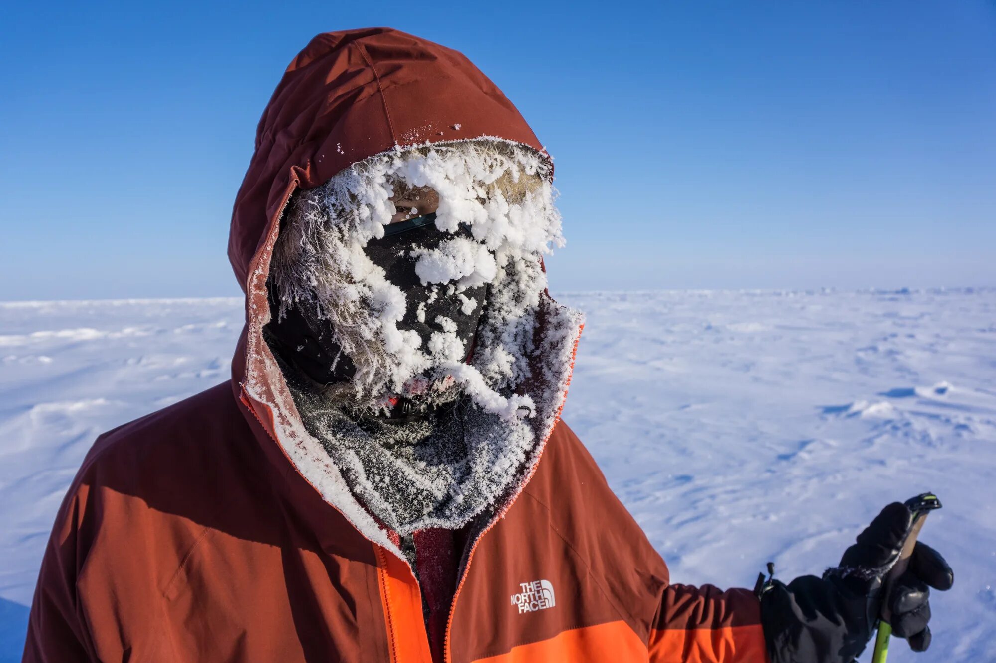 Что происходит на полюсе. Куртка north pole expedition. люди на северном полюсе. люди севера. одежда для антарктиды.
