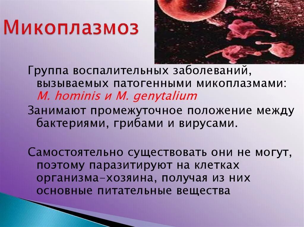 Микоплазмоз у мужчин лечение. Микоплазма проявление. Урогенитальная микоплазменная инфекция. Микоплазмоз возбудитель.