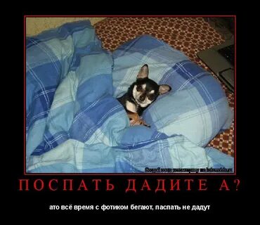 Не дают спать 18