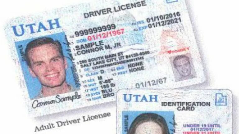 Has driver license. Ronaldo driver license. Kentucky driver license. Has driver license. Has driver license.