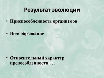 Результаты эволюции