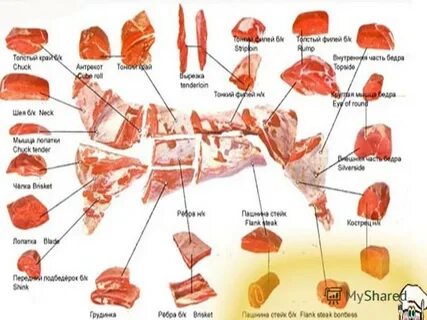 Курсовые мясо