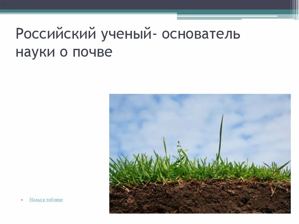 Основателем науки о почве является. Основа почвы. что составляет основу почвы. основой почвы является. что составляет основу почвы основа.