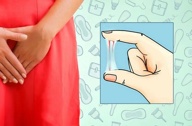 слизь во время месячных. цикл женских выделений. кристеллеровская слизистая пробка. слизь во время месячных. кровянястнвн выделение.