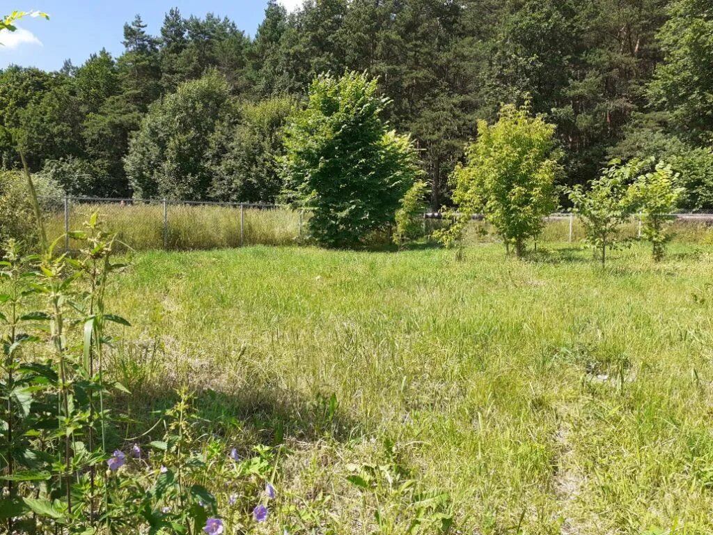 Пос липово. Ивановская область, Гаврилово-Посадский р-н, с. Липовая роща. Липовая роща Гаврилово-Посадский район. Липовая роща Ивановская область. Село Липовая роща Ивановской области.