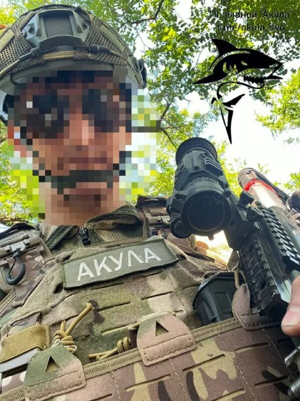 позывной акула