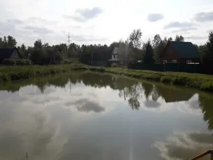 Снт пруды