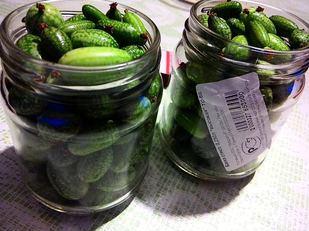 консервированные огурцы. сладкие маринованные огурчики. огурцы консервированные домашние. неожиданный подарок маринованный огурец названный брат. маринованные огурцы с луком на зиму.
