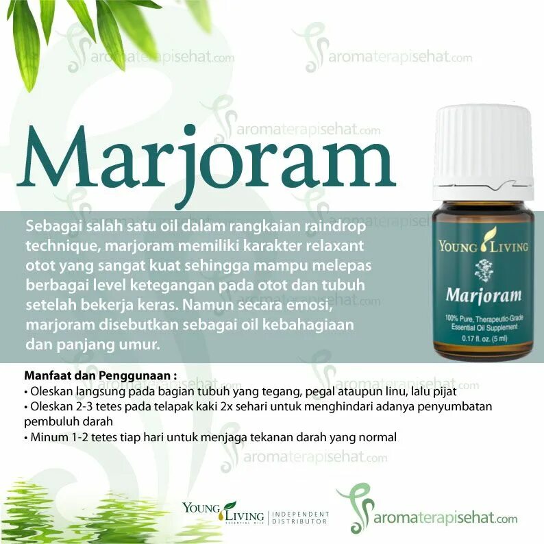 Living отзывы. Young Living Juniper. Young Living Rosemary. Young Living Clove. Marjoram Vitality™.