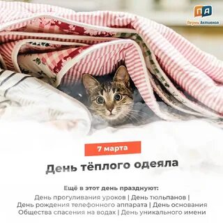 Погода пермь 2023 года