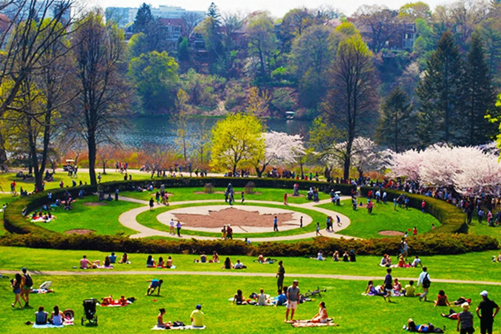 King s park day. Торонто парк. Хай парк в Канаде. Риджент парк Торонто. Хайпарк в Торонто.