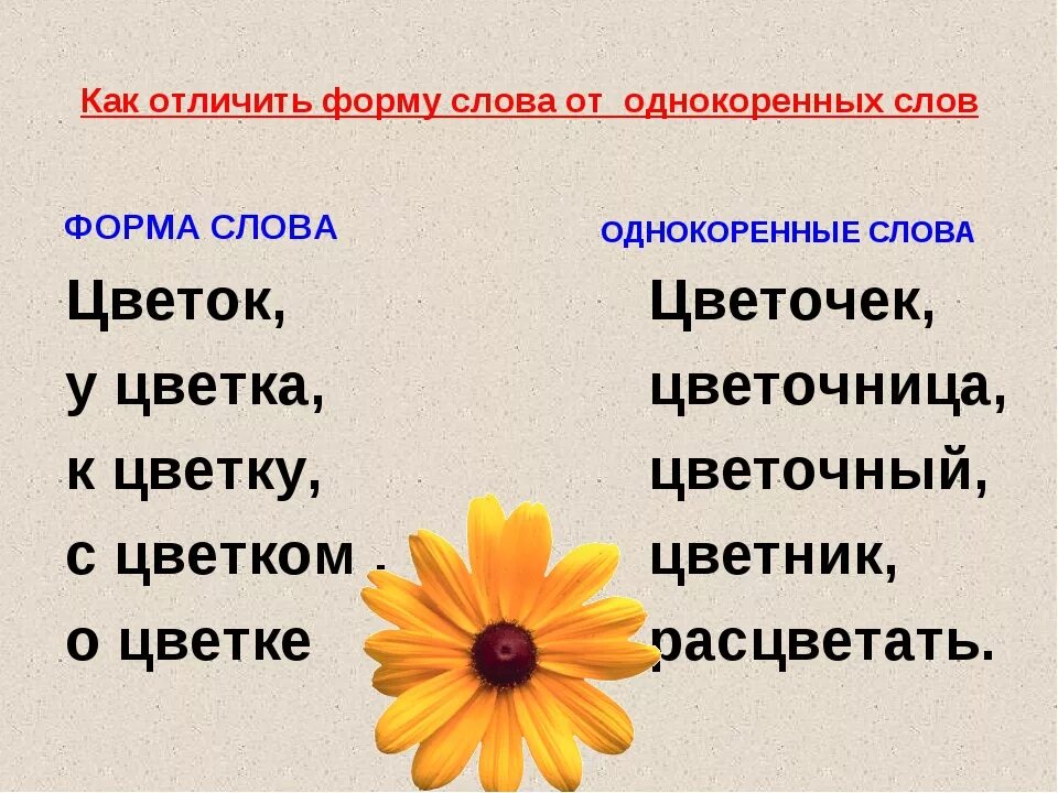 Какие существуют формы слова. Цветок однокоренные слова. Однокоренные слова к слову цветок. Родственные слова к слову цветок. Форма слова цветок.