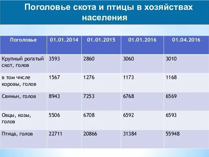 Поголовье скота это. Поголовье коров в беларуси. Поголовье скота. Поголовье скота это. Поголовье скота.