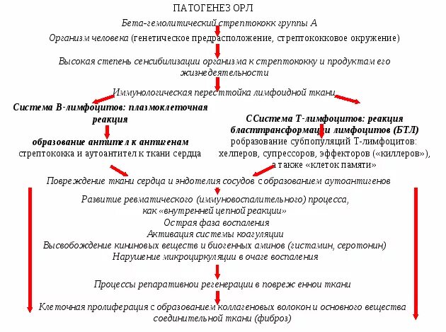первичная ревматическая лихорадка